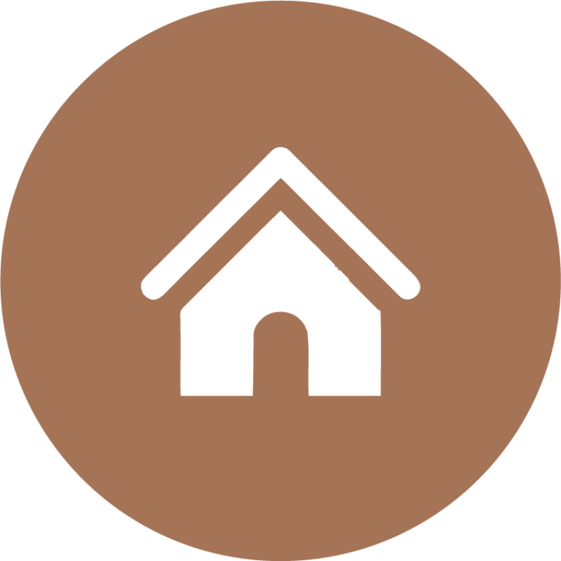 circle icon 2
